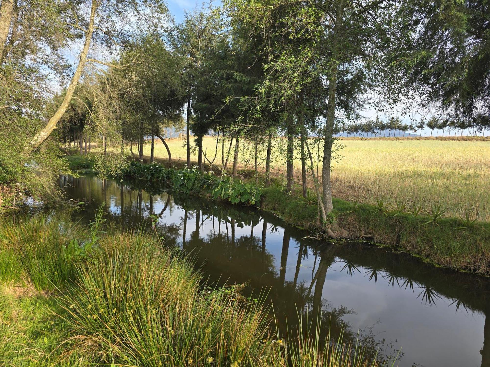 Cabana El Rio La Grande Zacatlán Екстериор снимка